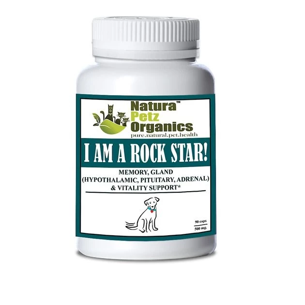 Natura Petz Organics I Am A Rock Star! Dog Supplement 1 Natura Petz Organics I Am A Rock Star! Dog Supplement