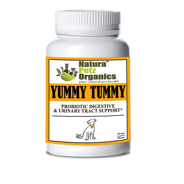 Natura Petz Organics Yummy Tummy Dog Supplement, 90 count 1 Natura Petz Organics Yummy Tummy Dog Supplement, 90 count