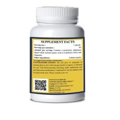 Natura Petz Organics Turminator Max Homeopathic Medicine for Adjunctive Irregular Growth Support & Abnormal Cell Recovery, for Cats -Natura Petz Organics Sales 2022 314431 PT2. SY630 V1635458189